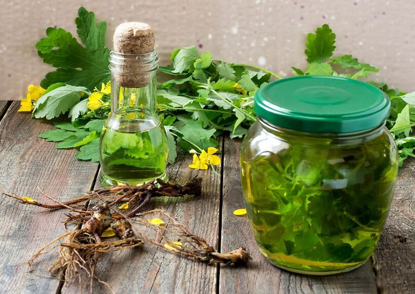 tintura de celidônia para prostatite